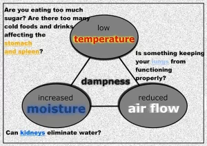 How Dampness is created Charlotte Acu Bodywork