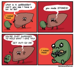 Gallbladder maked stones The Awkward Yeti Charlotte Acu Bodywork