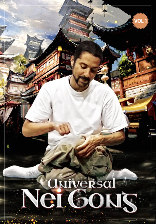 Universal Nei Gong Volume 1 with Yadi Alamin Eastern Traditional Healing Arts Charlotte Acu Body Work