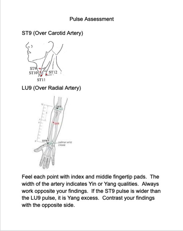 Coherence Therapy Level 1 Training Manual - Image 4