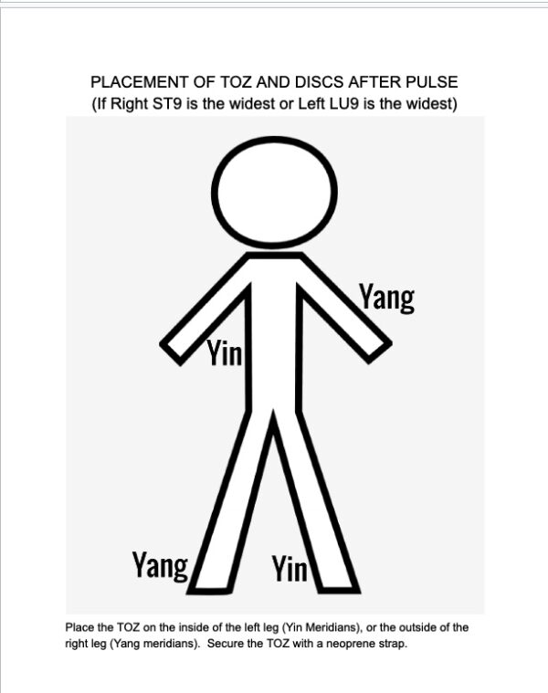 Coherence Therapy Level 1 Training Manual - Image 3