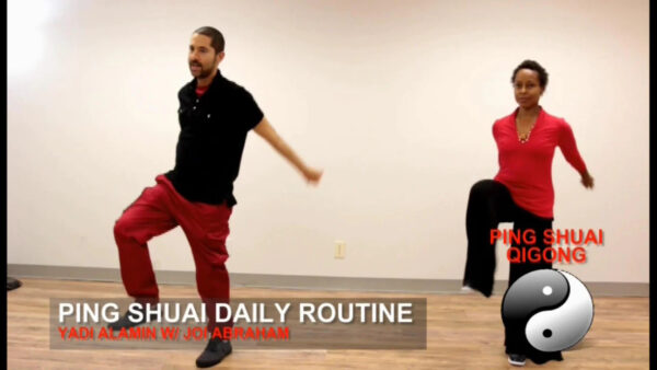 Advanced Ping Shuai Qigong - Image 2