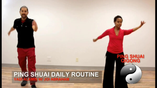 Advanced Ping Shuai Qigong - Image 3