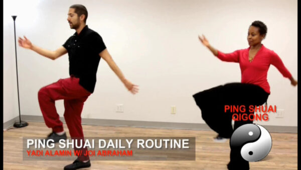 Advanced Ping Shuai Qigong - Image 4