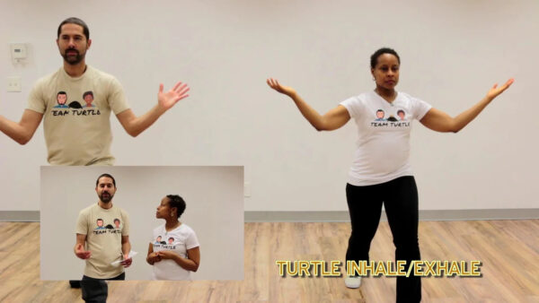 Turtle Qigong - Image 2
