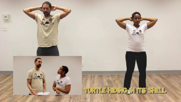 Turtle Qigong - Image 3