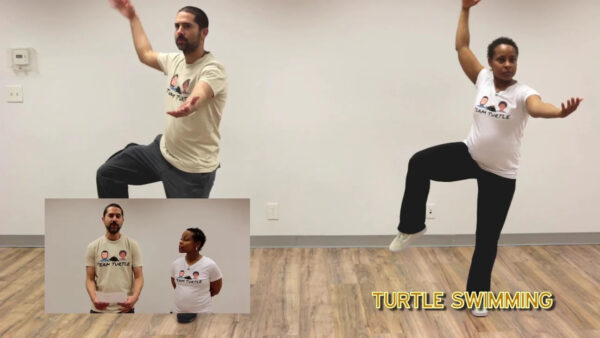 Turtle Qigong - Image 4
