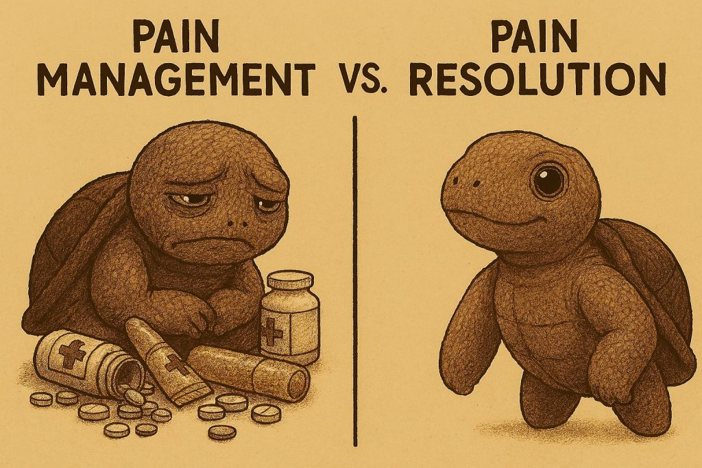 Turtles in pain and free from pain