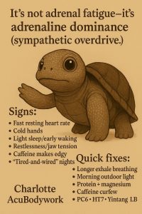 Adrenaline dominance symptoms infographic with turtle illustration showing signs and quick fixes for sympathetic overdrive.